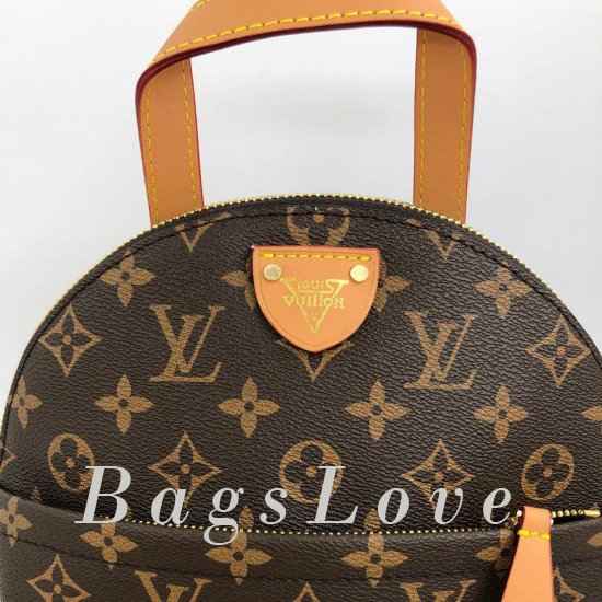 Женский рюкзак Louis Vuitton B105878