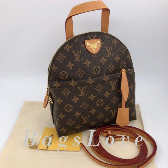Женский рюкзак Louis Vuitton B105878