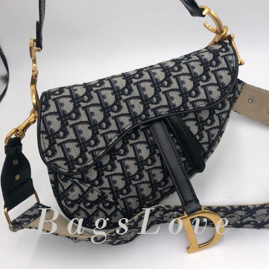 Женская сумка Christian Dior (Кристиан Диор) B105914