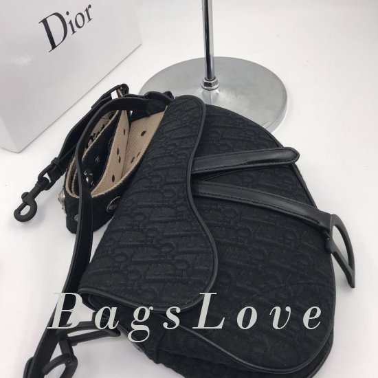 Женская сумка Christian Dior (Кристиан Диор) B105915