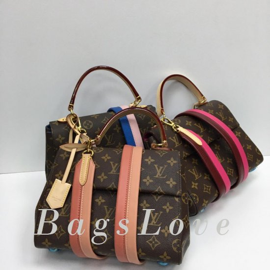 Женская сумка Louis Vuitton (Луи Виттон) BЭ1105491